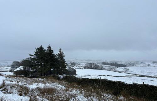 Wild boar barn - Foto 13