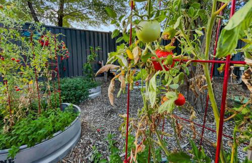 Quiet Garden Sanctuary home - Foto 29