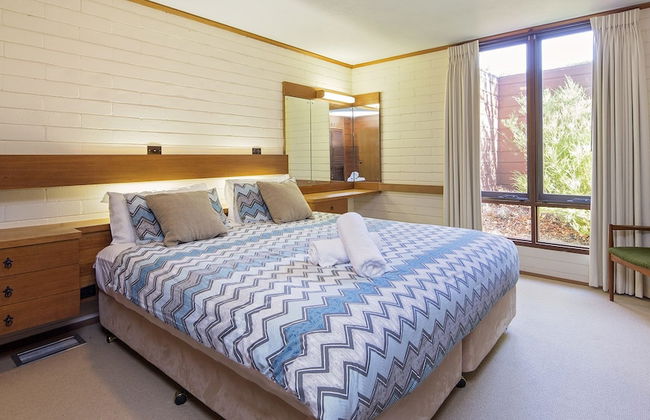 Grey Kangaroo- On Lake Jindabyne foreshore - Foto 3