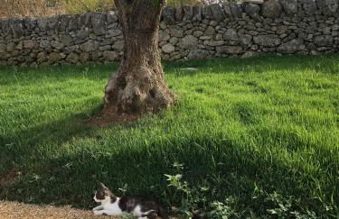 Villino Odaldo - Foto 54