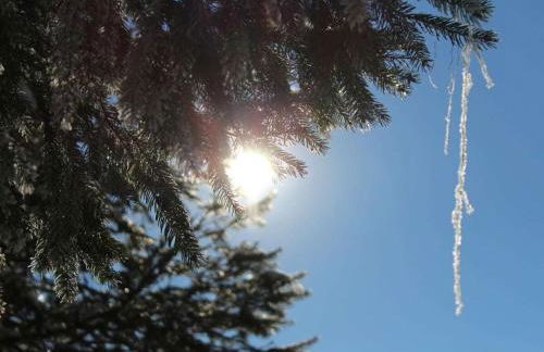 in the holiday home Vorbergblick - Foto 6