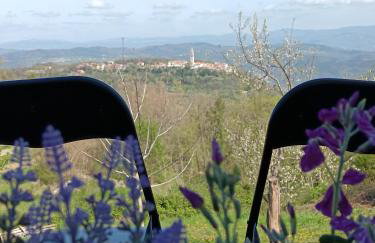 Apartment Toncic - Foto 1