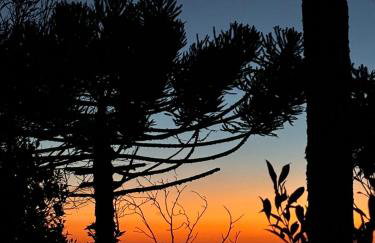Charme e conforto na Montanha - Condomínio no Morro do Elefante, próximo ao centro - Foto 52