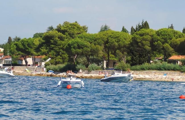 Apartments Henc - Foto 31