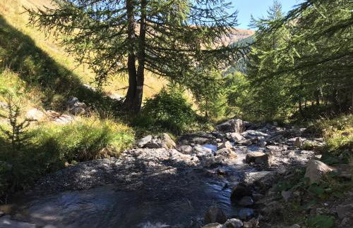 Bas de chalet station La Foux - Foto 54