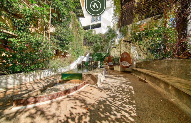 The Ava 16 in Jalisco - Foto 54