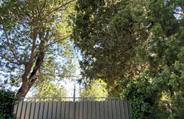 Maison entière 5 min du centre d'Avignon - Foto 8