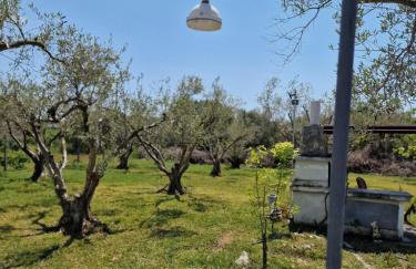 Dream in Chalkidiki 2 bedroom villa with garden - Foto 41