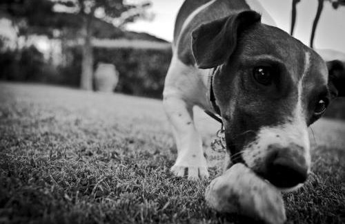 Relais Villa Al Vento - Photo 74