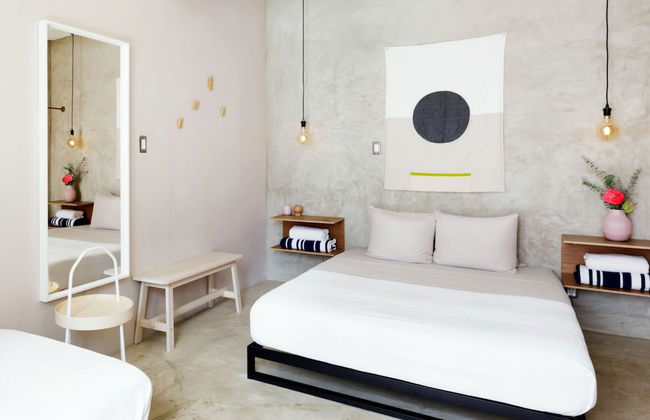 TROPICALIA by DW - Foto 7