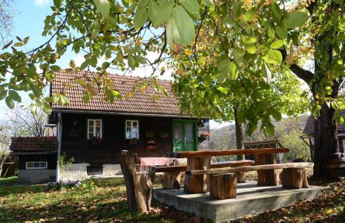 Holiday home Hižica v plavem trnacu - Foto 15