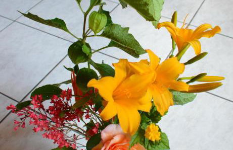 Gîte La Maison Bleue - Foto 7