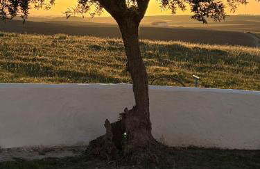 Canto da Planície - Photo 67