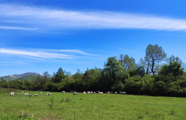 Quaint Holiday Home in Lovinac With Terrace - Foto 19