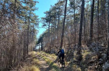 Apartman EN - Foto 69