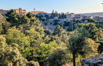 VUT Reyna Beatriz - Foto 15