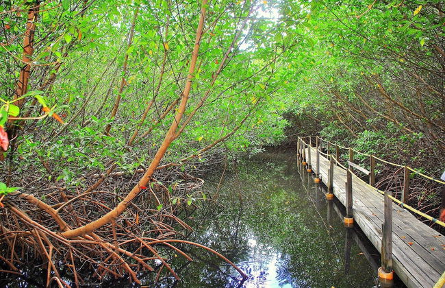 South Coast Horizons - Photo 72