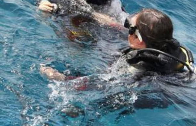 The Royal Luxury Lion Patio - Foto 11