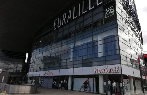 Duplex Savane, Lille - Foto 6