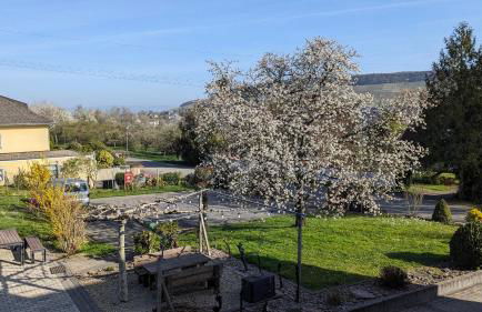 Weingut Harald Ludwig - Foto 79