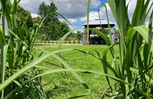 Apartamenty Arkadia przy Amfiteatrze - Foto 28