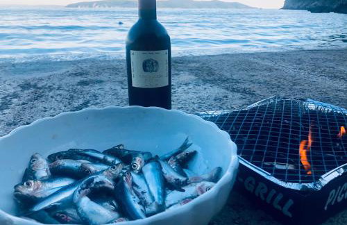 The House 1838 - Foto 44