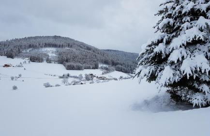Ferienwohnung am Schneeberg - Foto 66