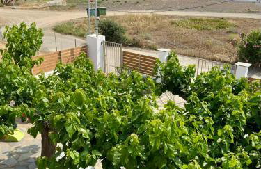 Sea Lilly - Photo 60