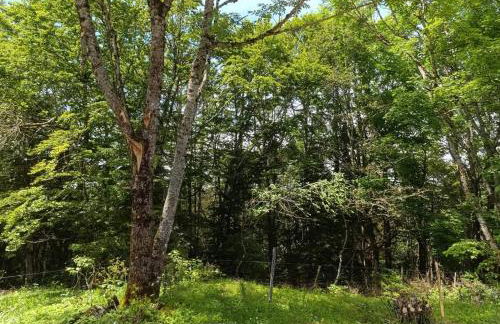 Les Étoiles de Bevy Chalet insolite Love Room - Foto 12