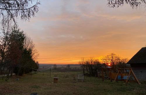 Ozierański Eden "Pod rzeźbami" - Photo 34