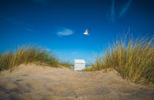 Apartment 21 - Photo 19