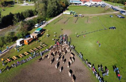 FeWo Fritz - Foto 37