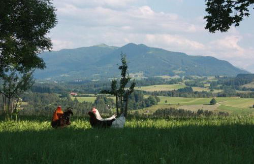 Ferien beim Baur - Foto 10