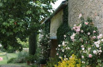 Domaine de la barbeirasse - Foto 54