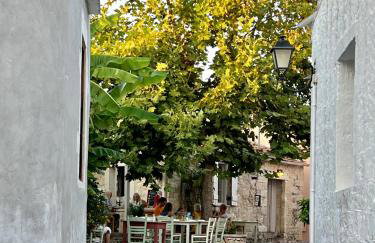 Villa Metapothia Gavalochori Crete - Foto 159