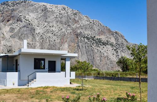 Alexandra's Place - Photo 12