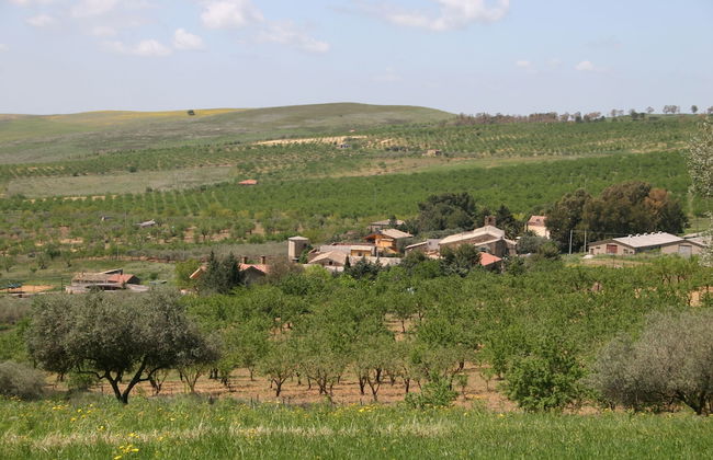 Il Mandorleto - Foto 30