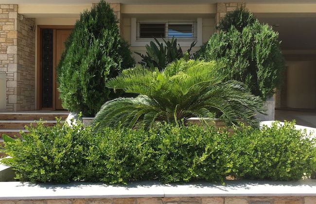 Hector Apartment Airport - Foto 24