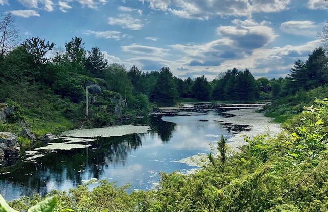 Pine Brae Eco-Resort - Photo 37