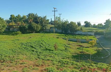 Villa La Fontaine - 4,200sqm of Privacy & Serenity - Foto 28