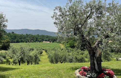 Heart House Franciacorta - Foto 16