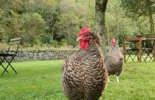 Bajo Los Tilos - Foto 3