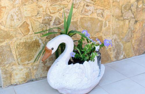 Casa Vasilia Traditional Home - Photo 30