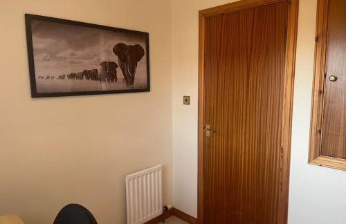 Sunny Cove Holiday Let - Foto 13