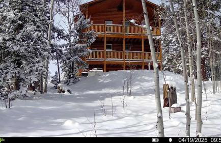 How would it feel to live close to the wildlife in a peaceful cozy cabin - Foto 1