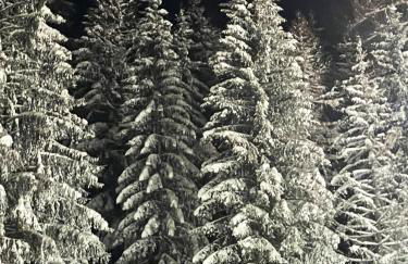 Ferienwohnung UP Willingen-Schwalefeld - Foto 29