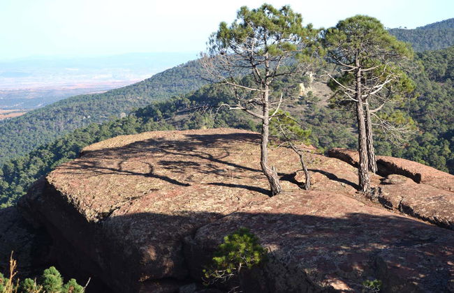 Visite des peintures rupestres de Pinares de Rodeno - Photo 6