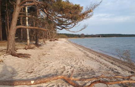 Villa Strandräuber - Foto 29