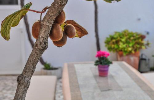 Apartments Toska - Photo 33