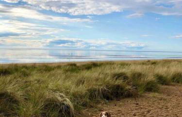 Entire Cosy bungalow close to Beach - Foto 3